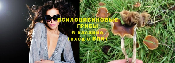 прущая мука Беслан