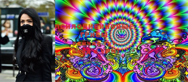 прущие грибы Кодинск