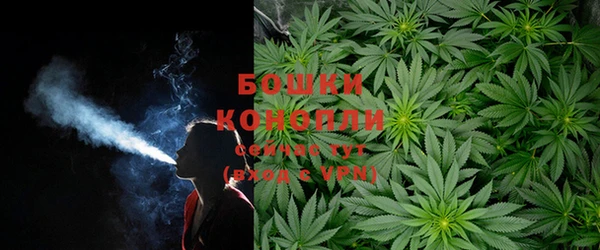 ALPHA PVP Костерёво